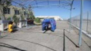 Ant-Roach, a 15-foot-long inflatable insect robot that you can ride